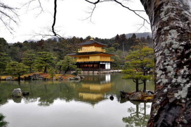 【空席あり】《文学篇》4/25（土）三島由紀夫『金閣寺』～認識と行為／「美への憧憬」か「絶対的破壊」か