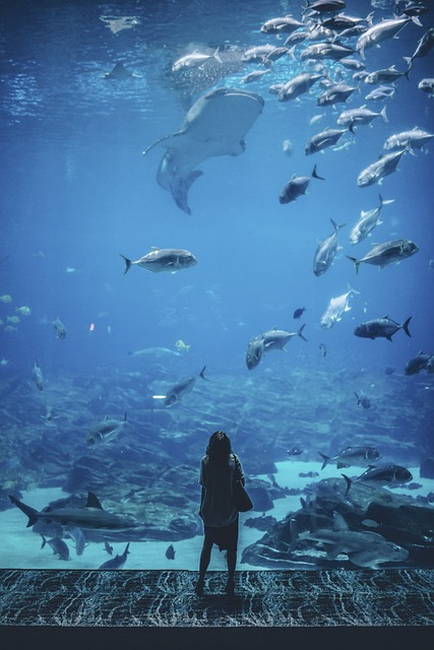 水族館